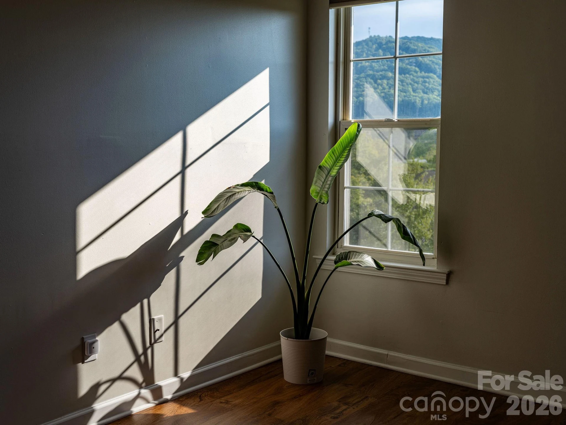4702 Breakers Lane - Photo 22