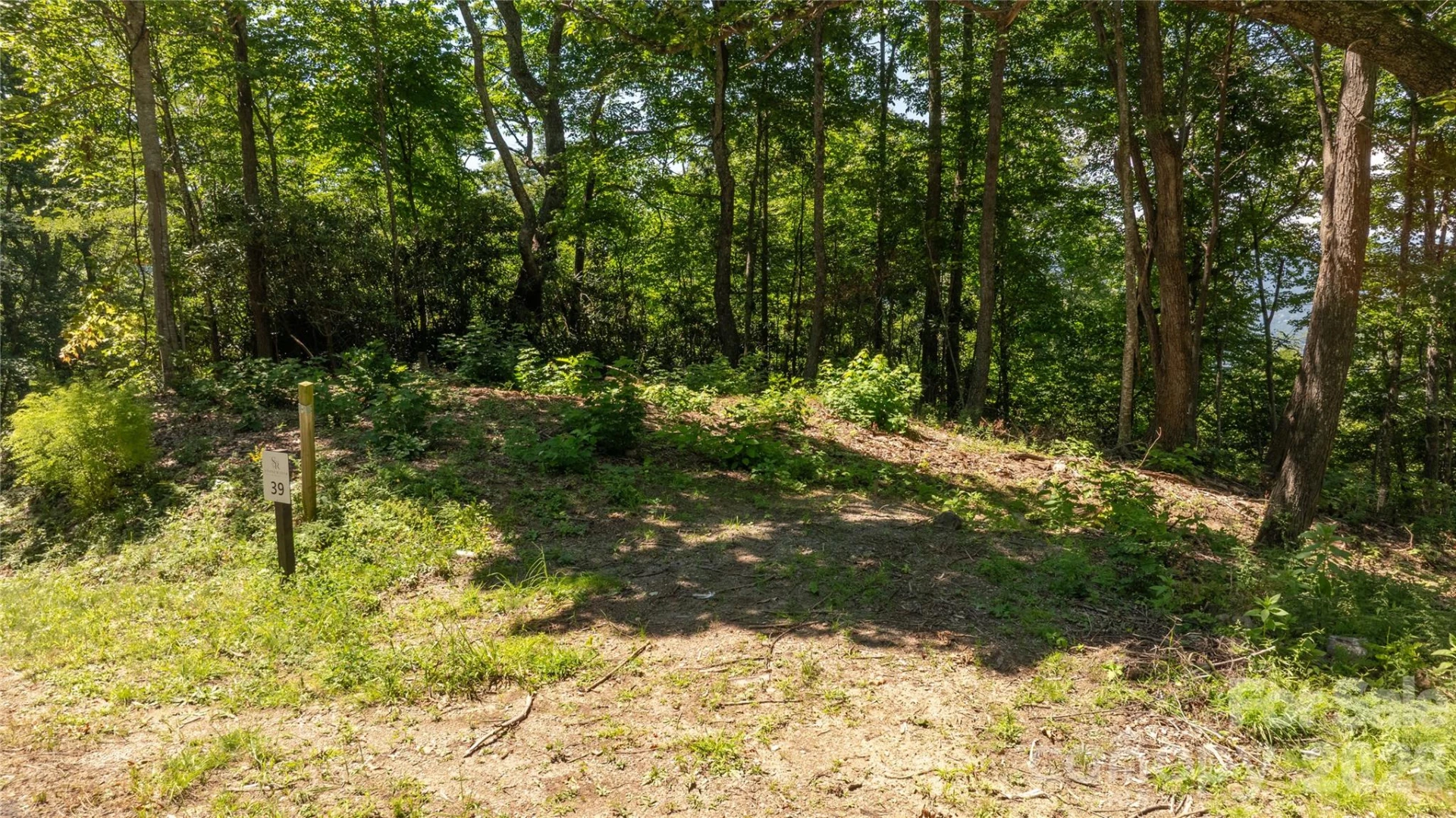 19 Estate Drive #40 - Photo 15
