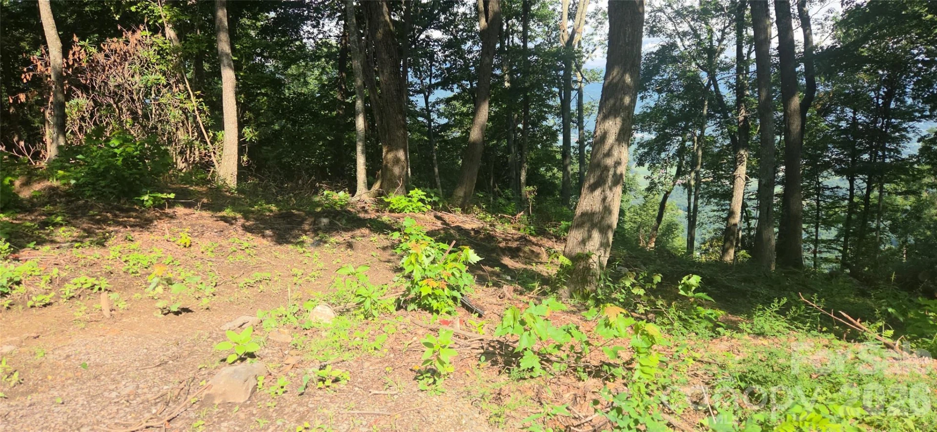 19 Estate Drive #40 - Photo 19