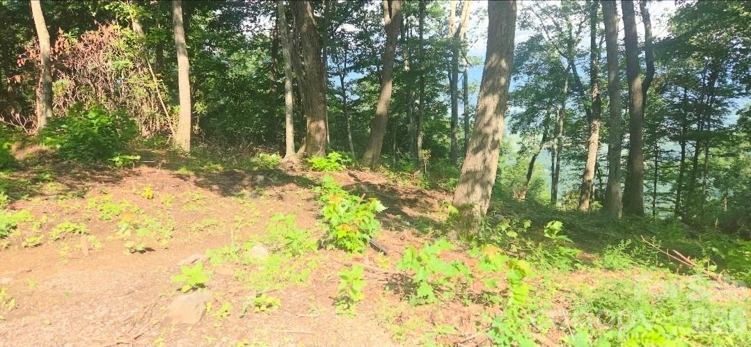 19 Estate Drive #40 - Photo 26