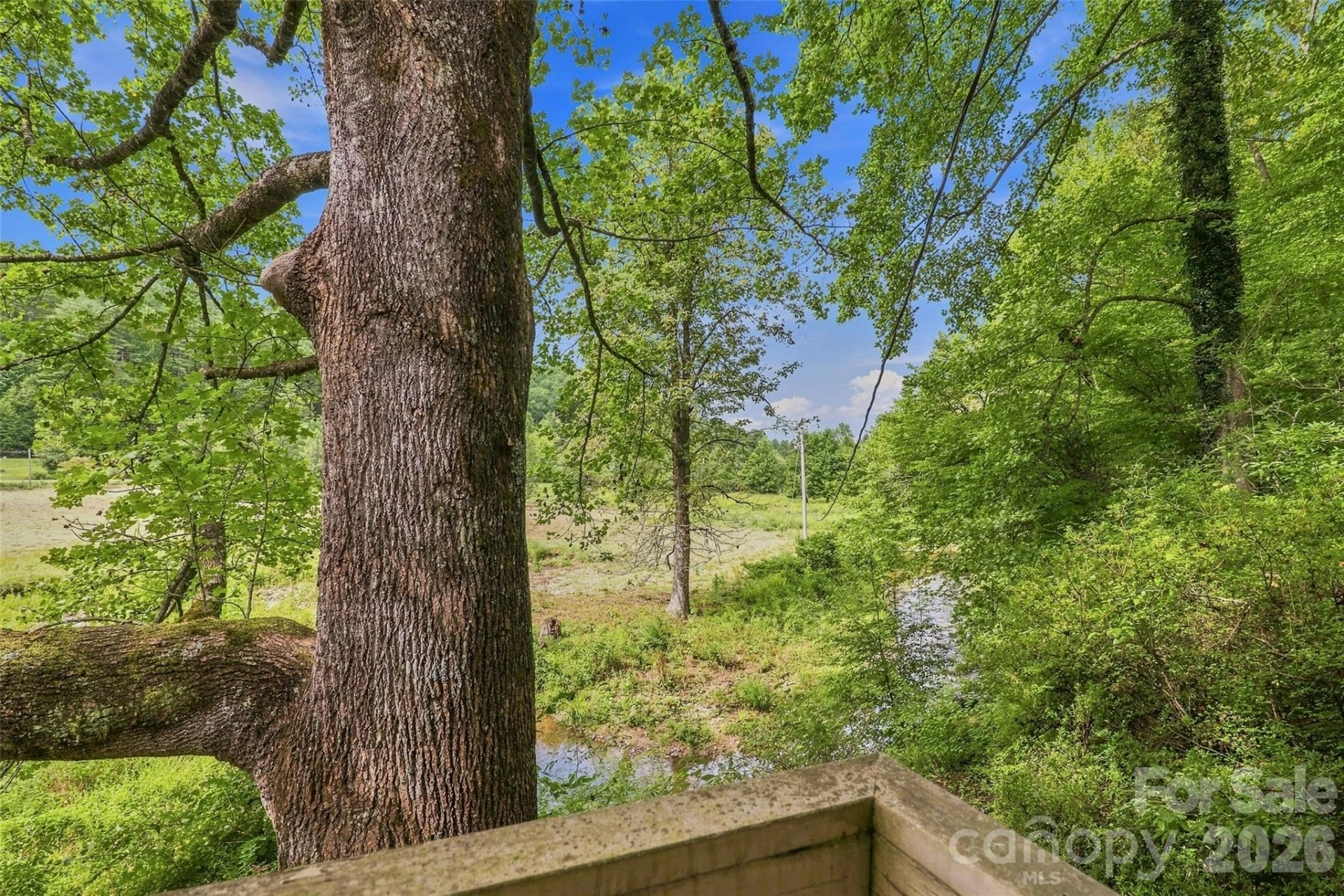 473 Middlefork Road - Photo 13