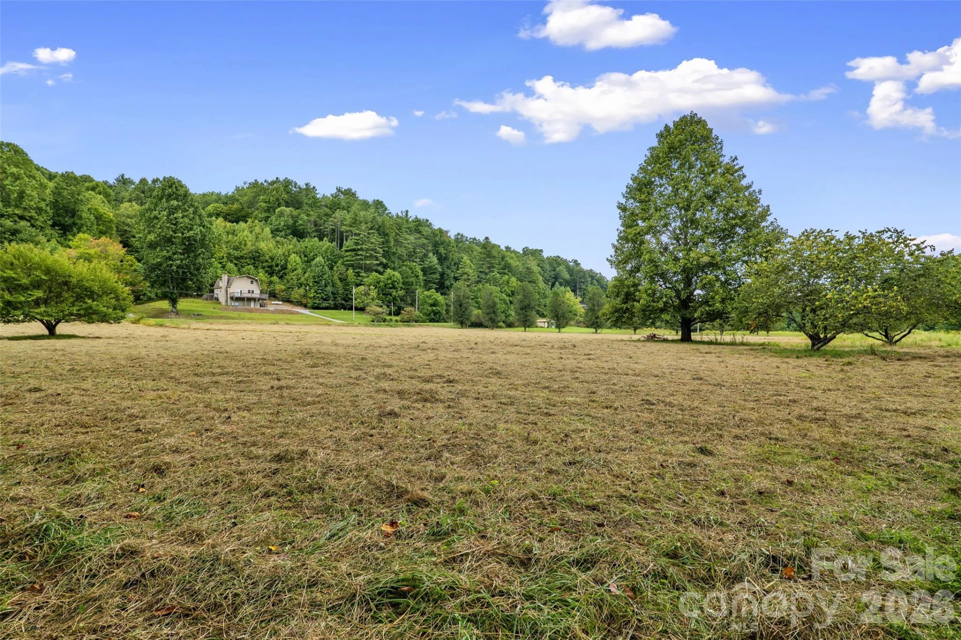 473 Middlefork Road - Photo 39