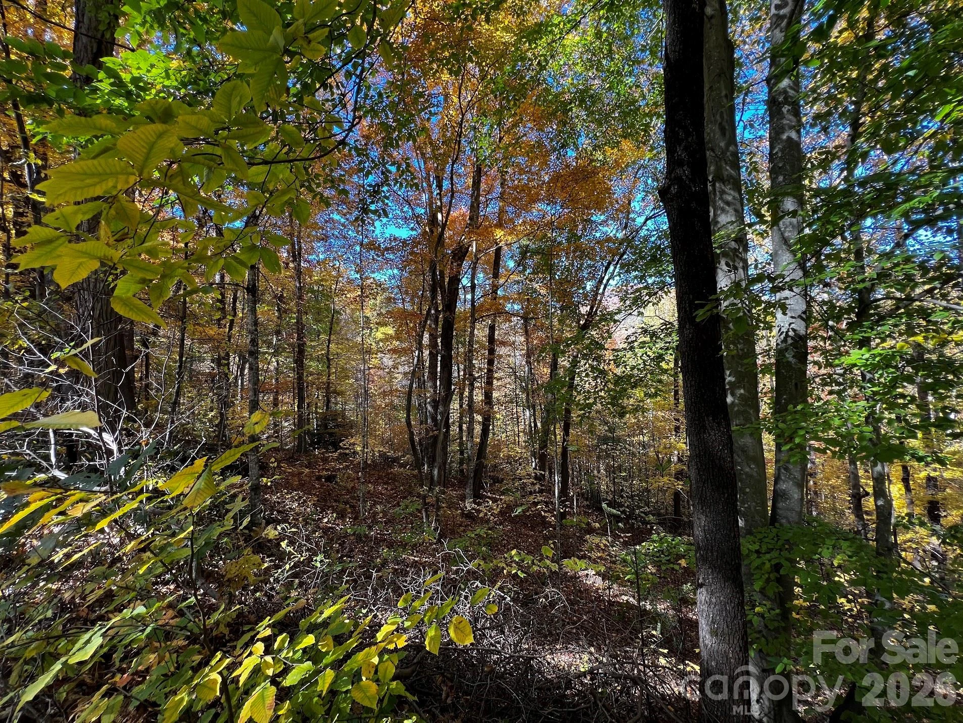 0000 Hemphill Road #3 - Photo 8