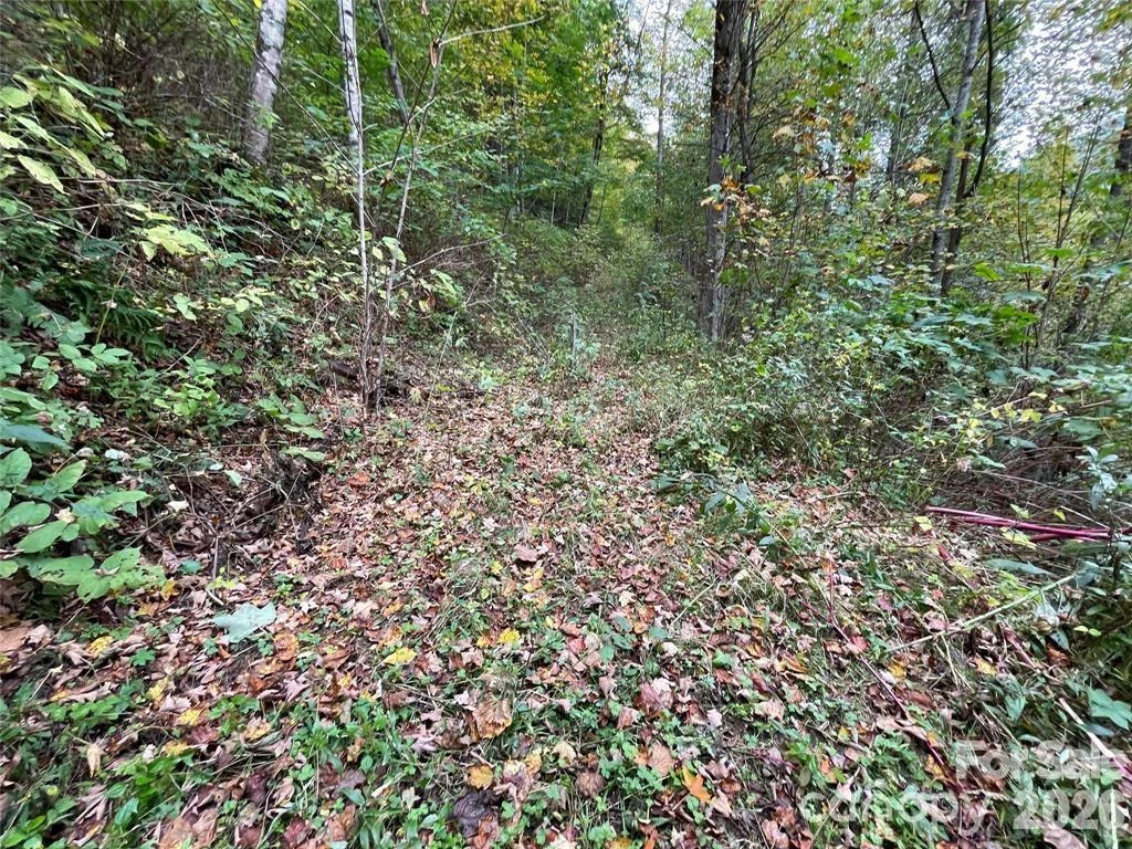 0000 Hemphill Road #3 - Photo 11