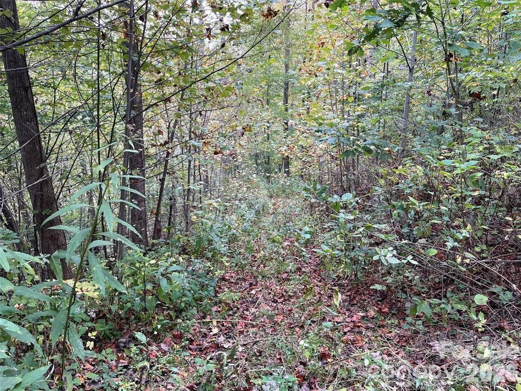 0000 Hemphill Road #3 - Photo 15