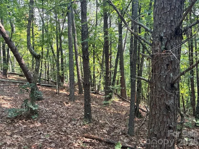 242 Golden Creek Ridge, Union Mills, NC, 28167