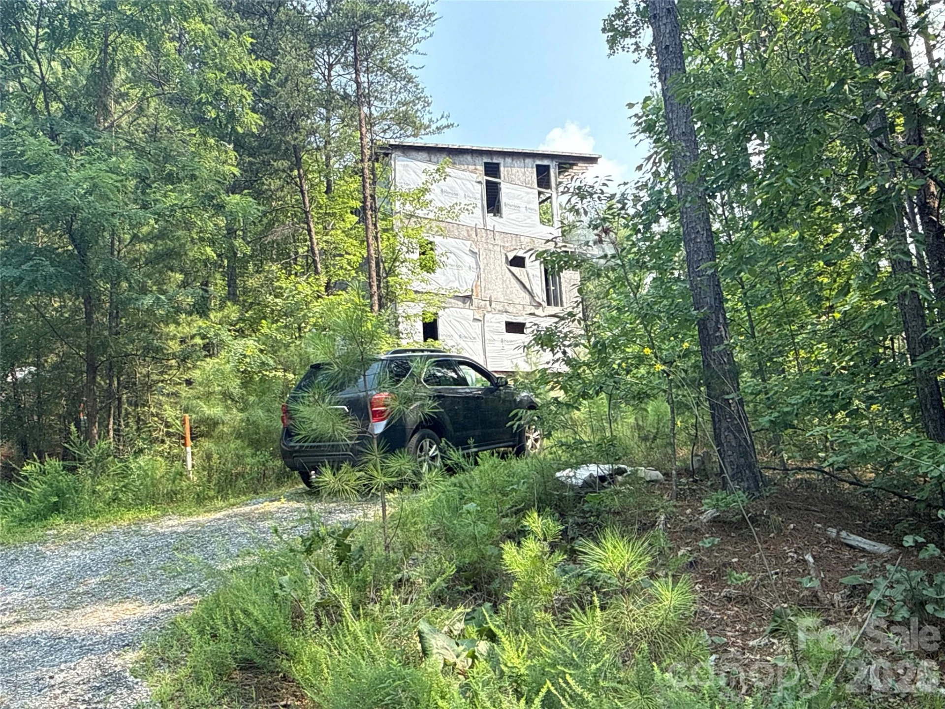 242 Golden Creek Ridge - Photo 5