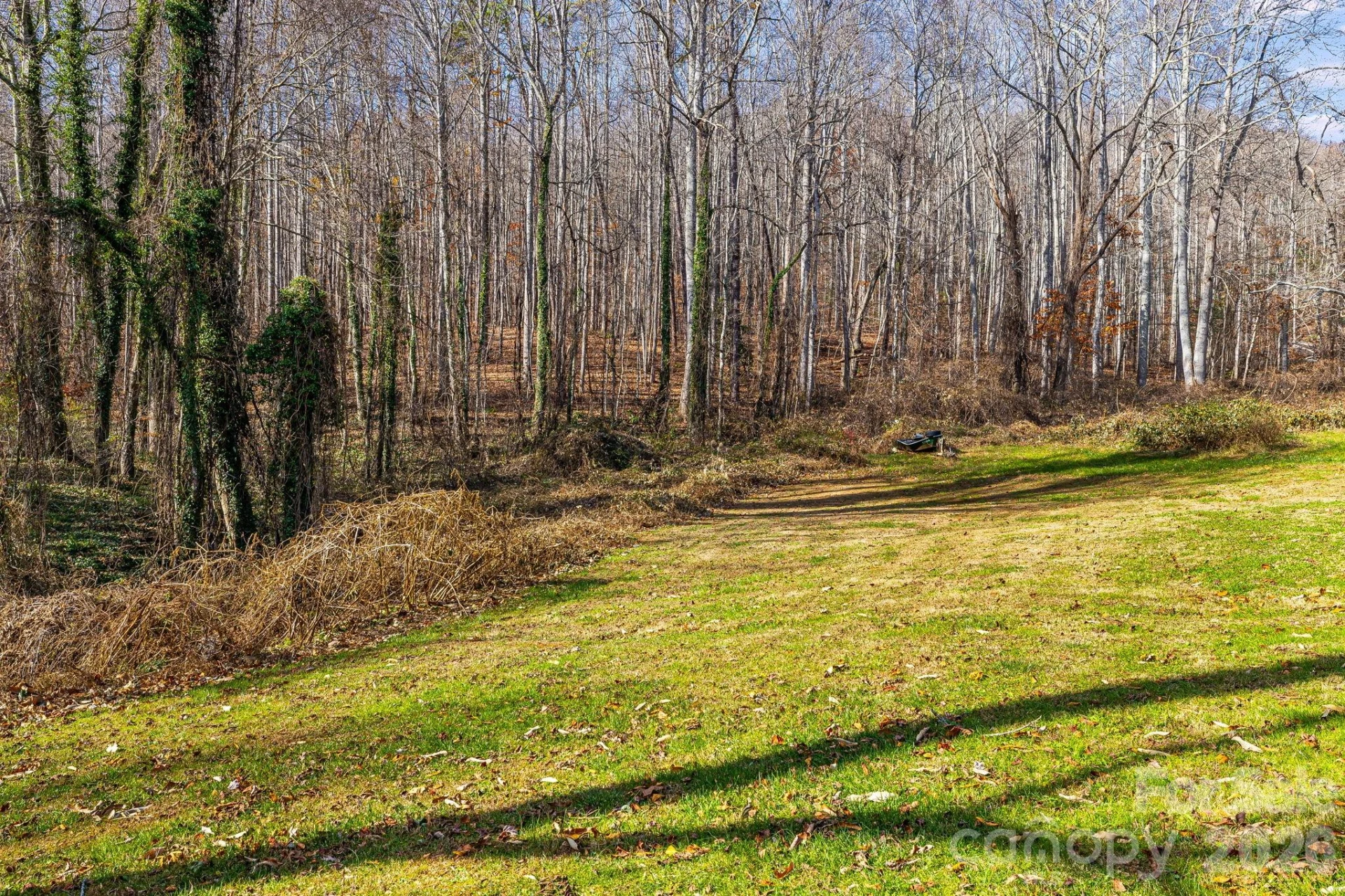 55 Harris Ridge Road - Photo 19
