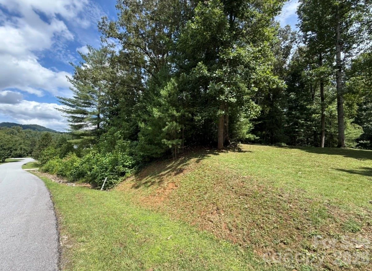 lot 4 Sovereign Lane - Photo 2