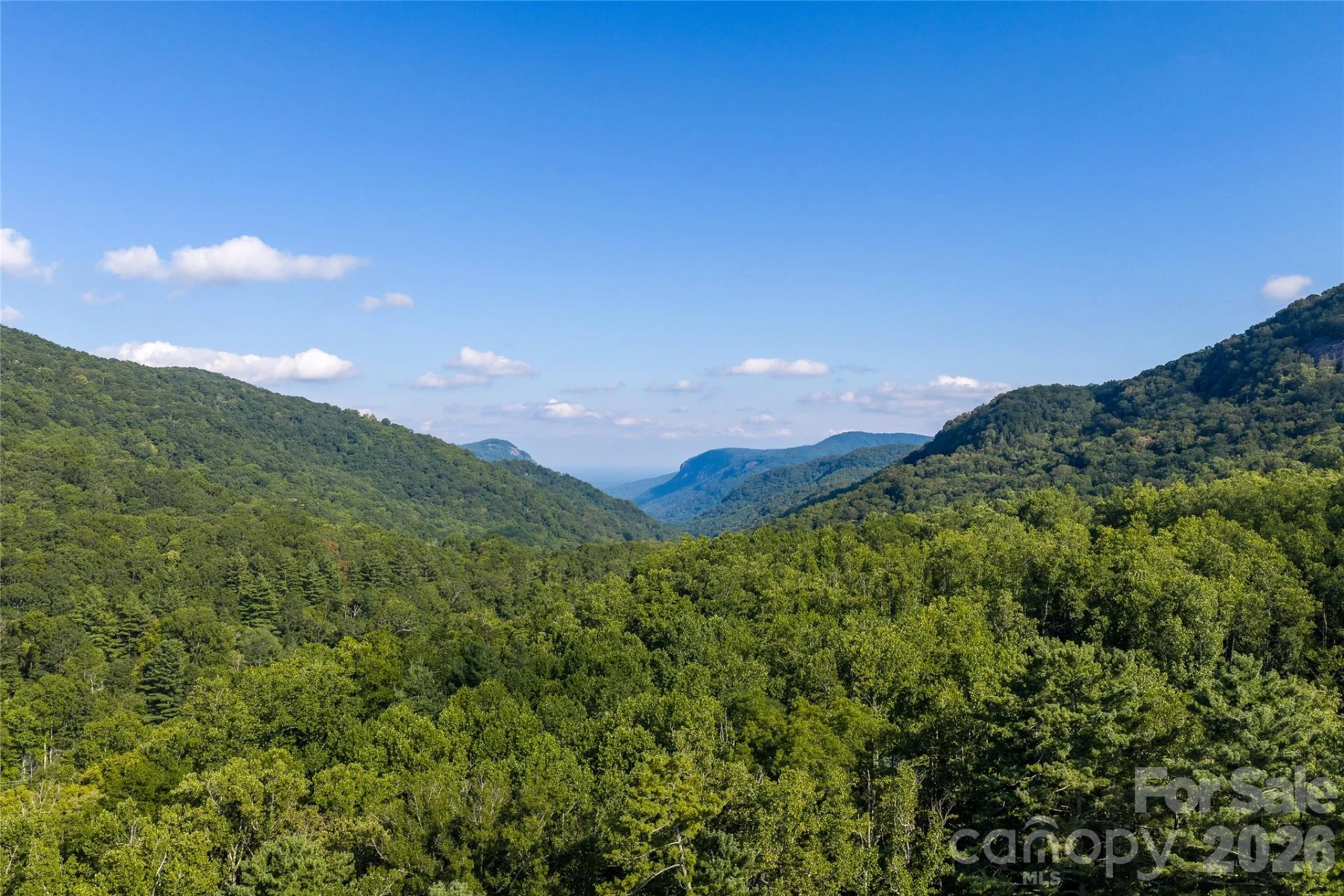 95 Chestnut Hill Loop Road - Photo 11