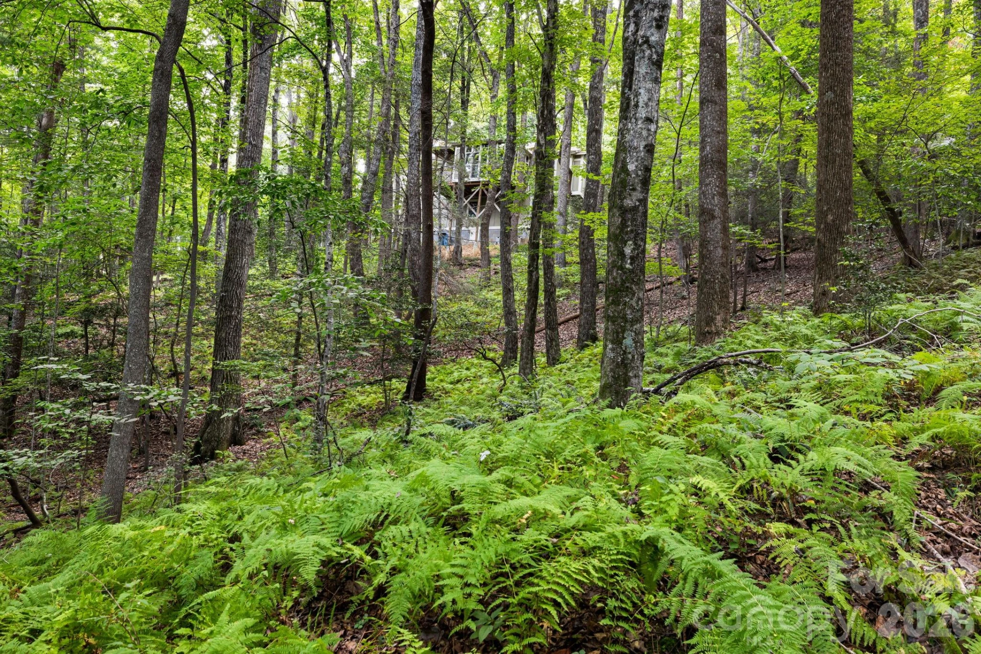 22 Wild Violet Lane - Photo 46