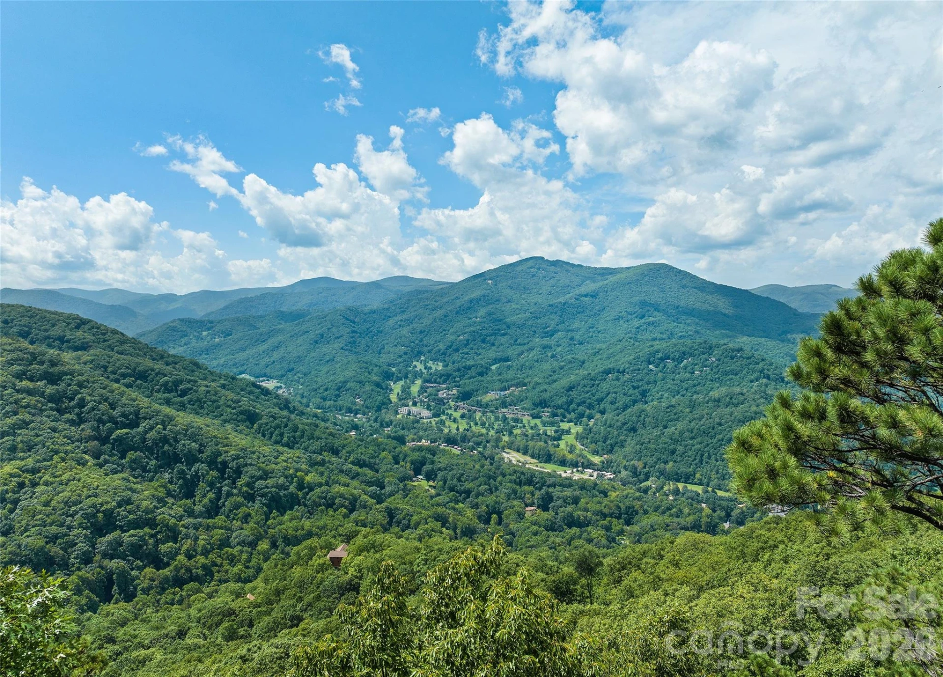 463 Walela Trail - Photo 11