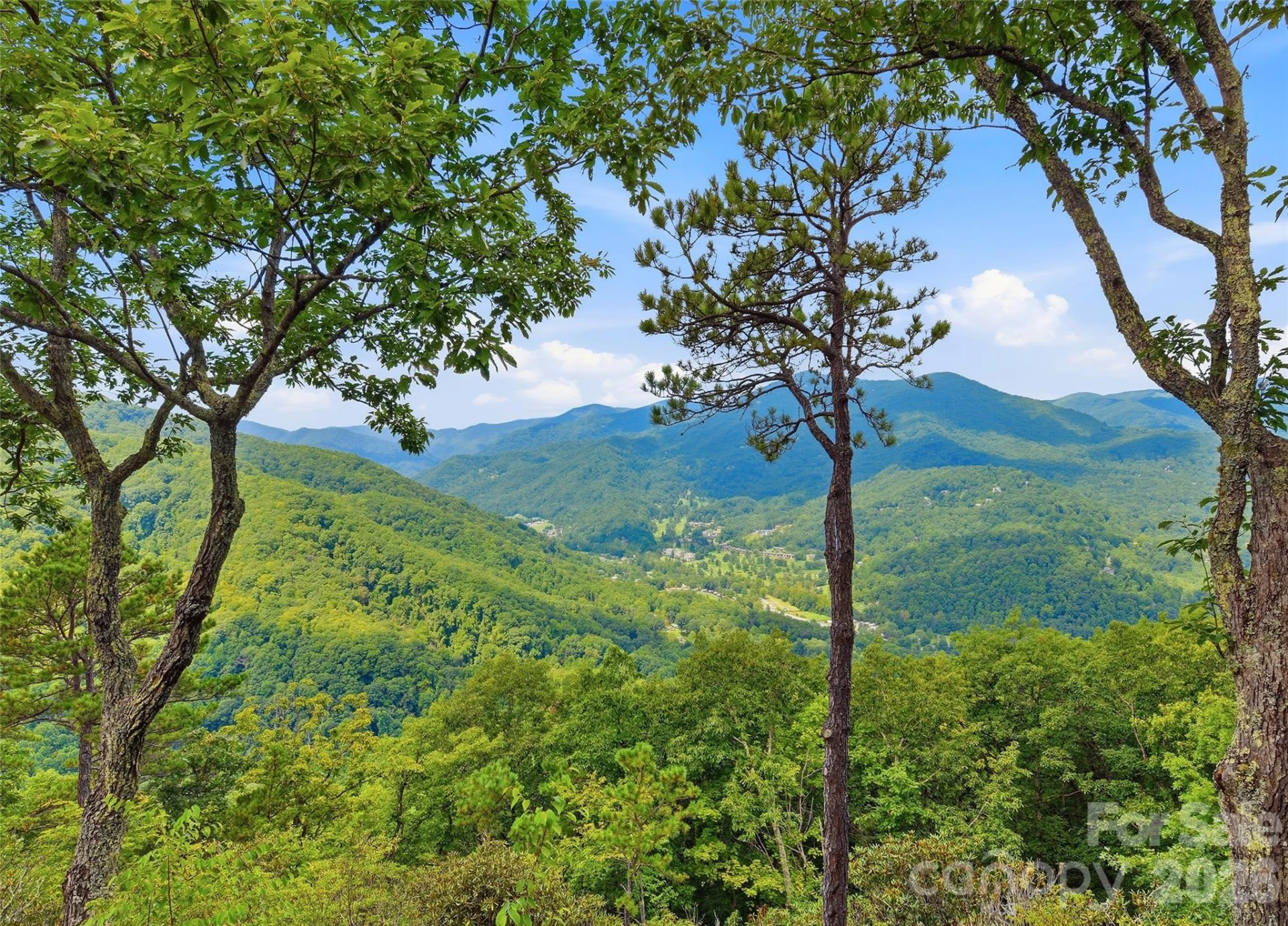 463 Walela Trail - Photo 14