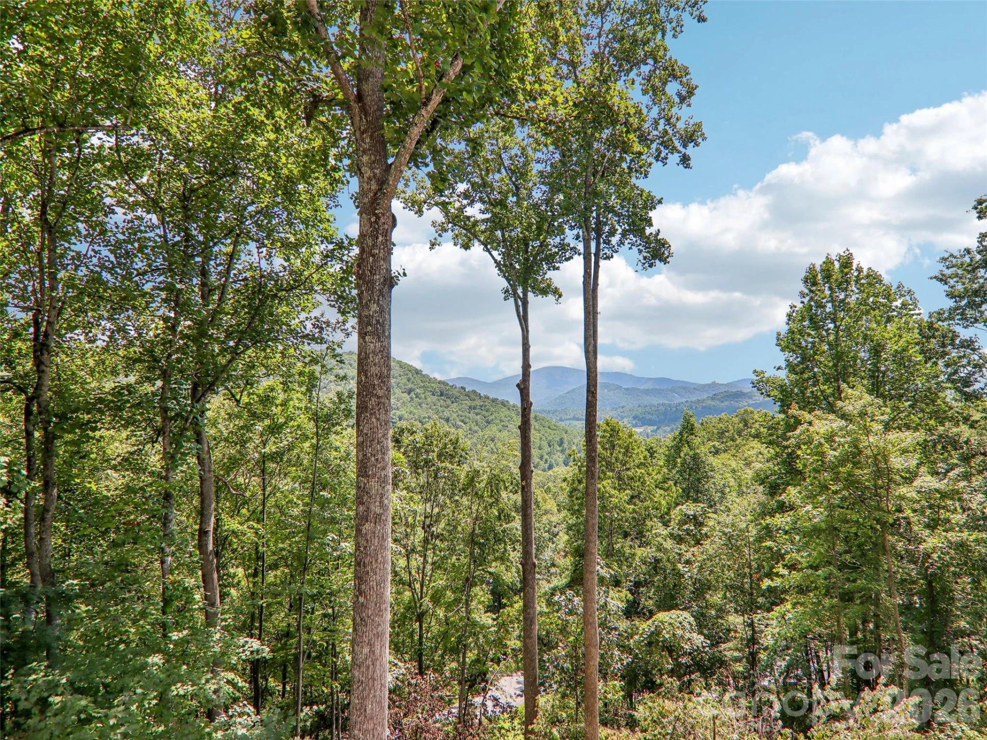 16 Hobe Crest - Photo 38