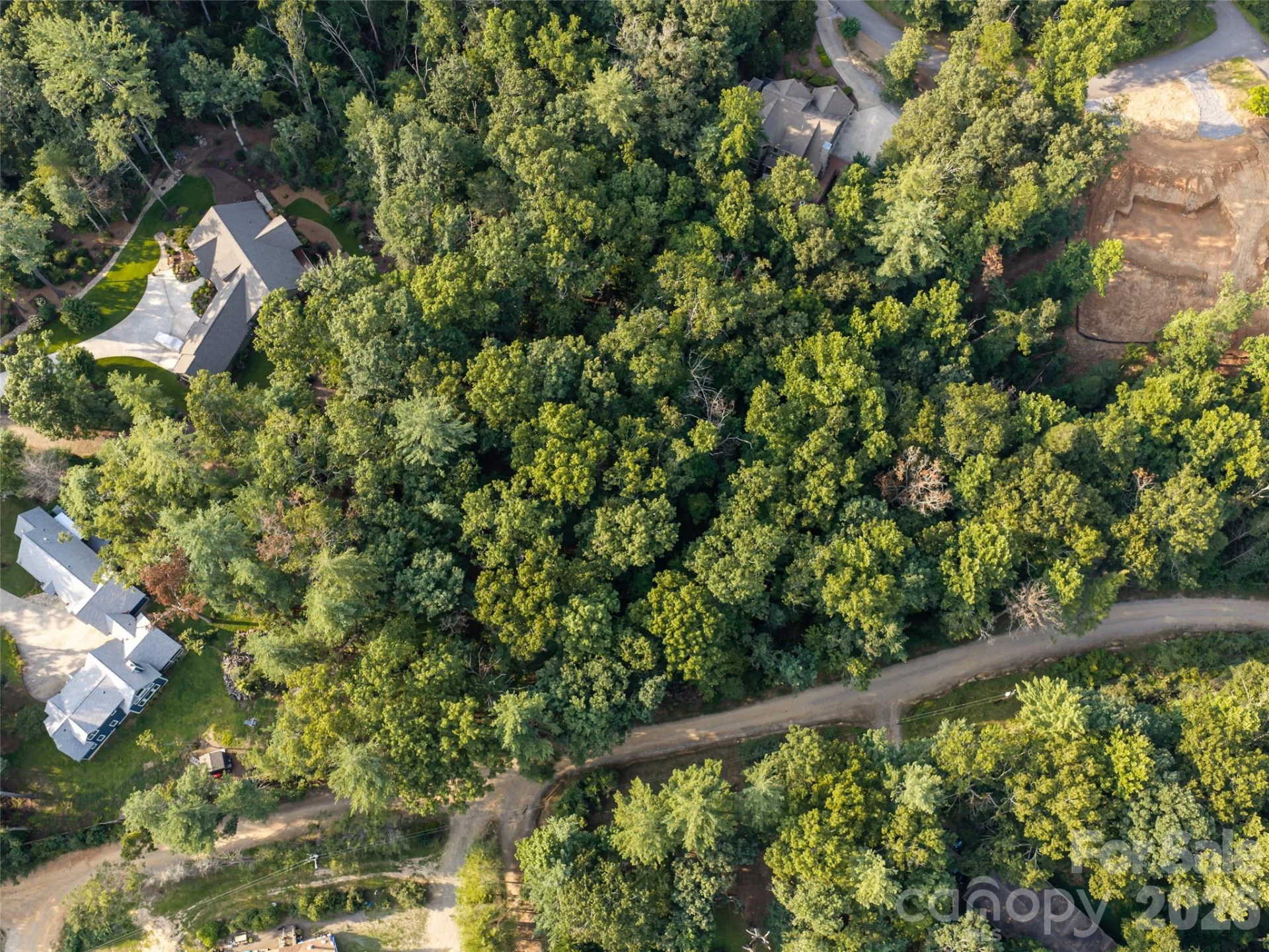 45 Jake Ridge Trail - Photo 3