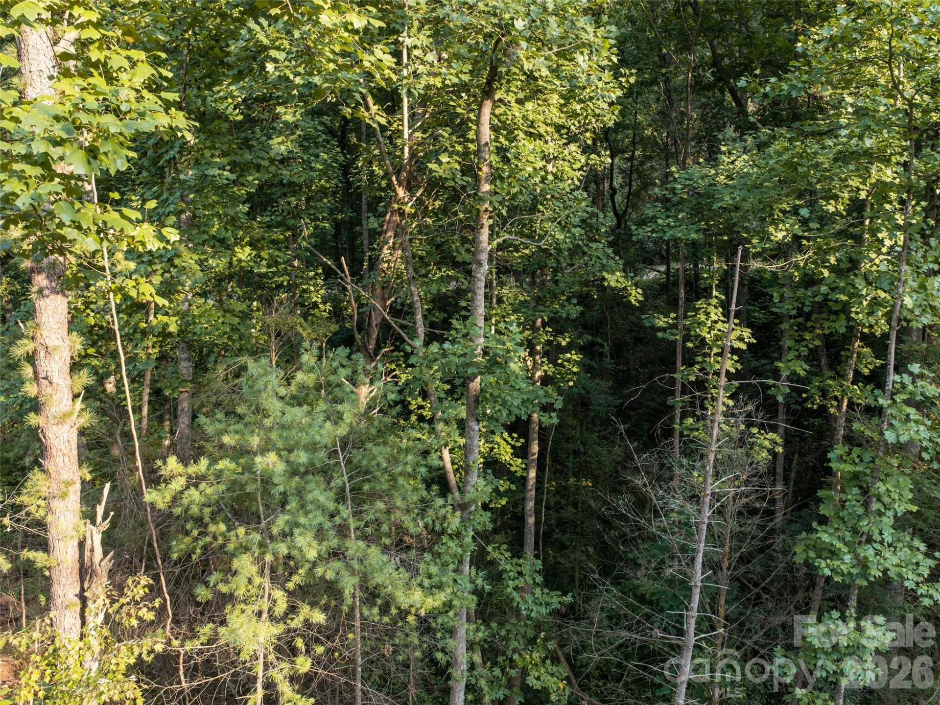 45 Jake Ridge Trail - Photo 4