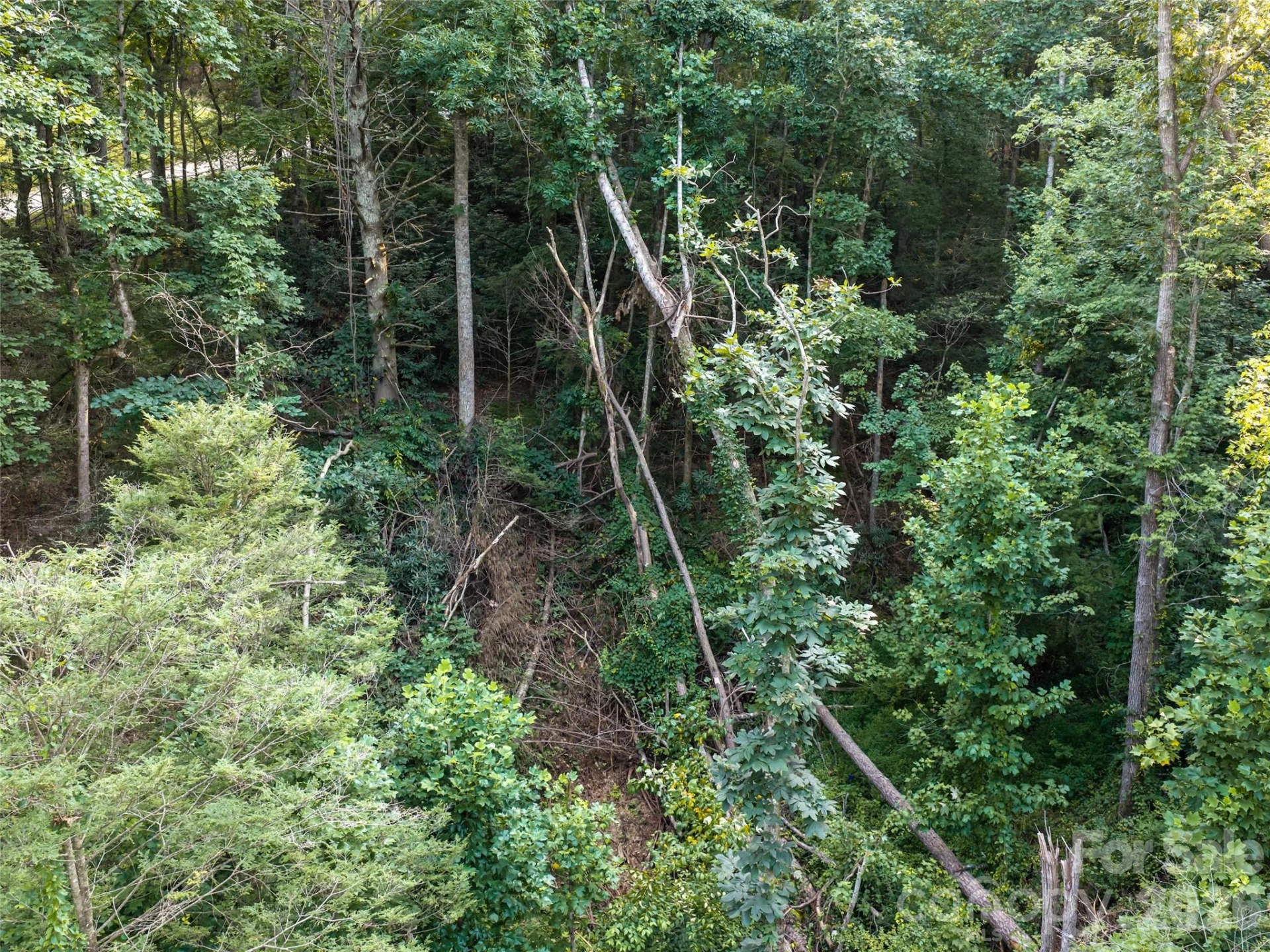 45 Jake Ridge Trail - Photo 5