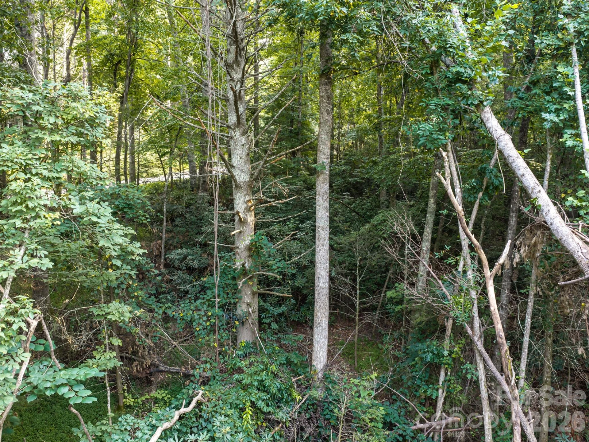 45 Jake Ridge Trail - Photo 6