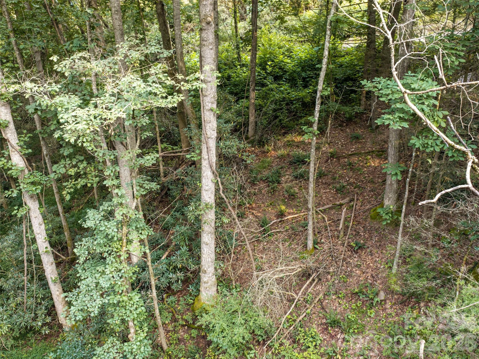 45 Jake Ridge Trail - Photo 7