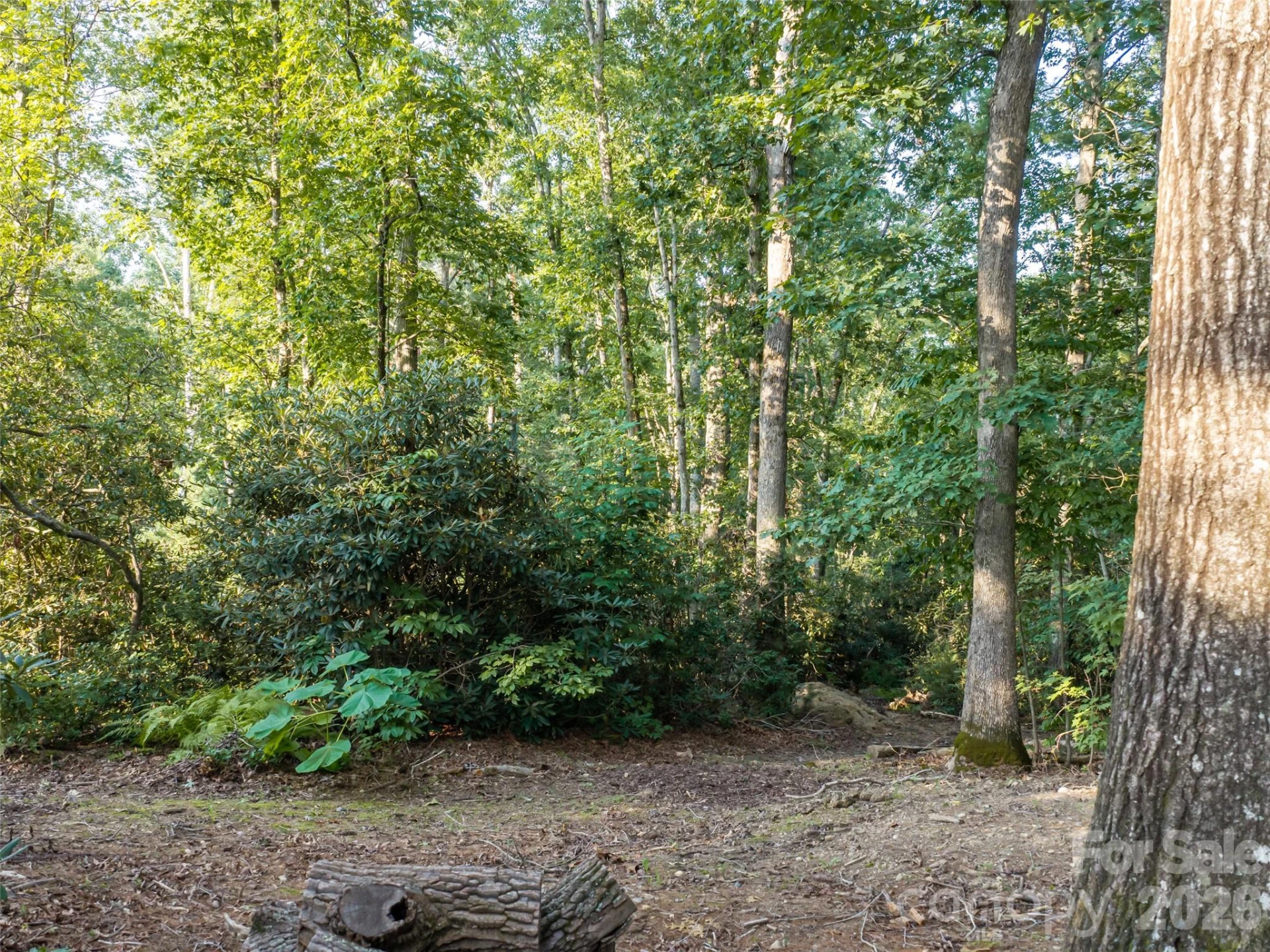 45 Jake Ridge Trail - Photo 8