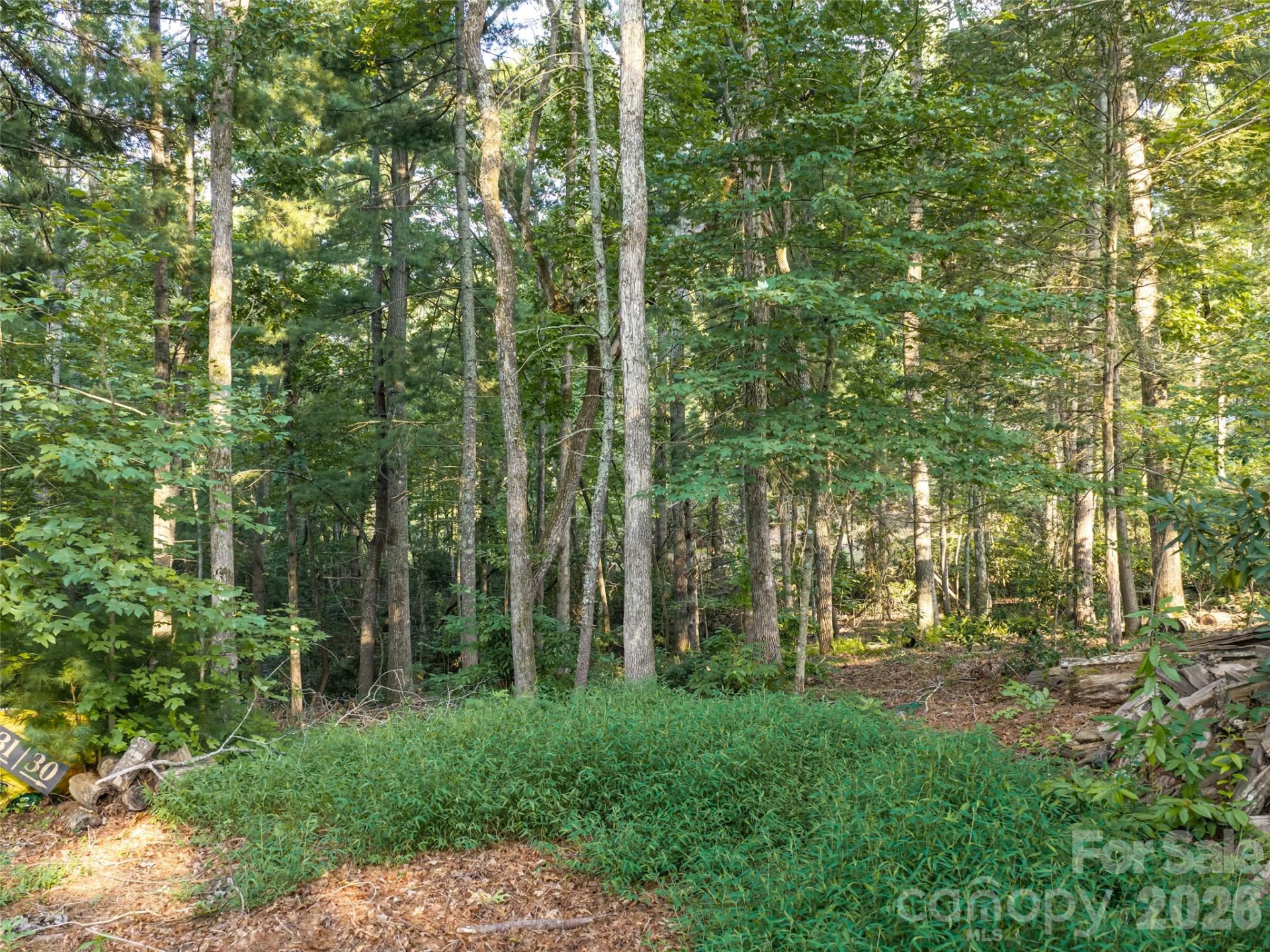 45 Jake Ridge Trail - Photo 9