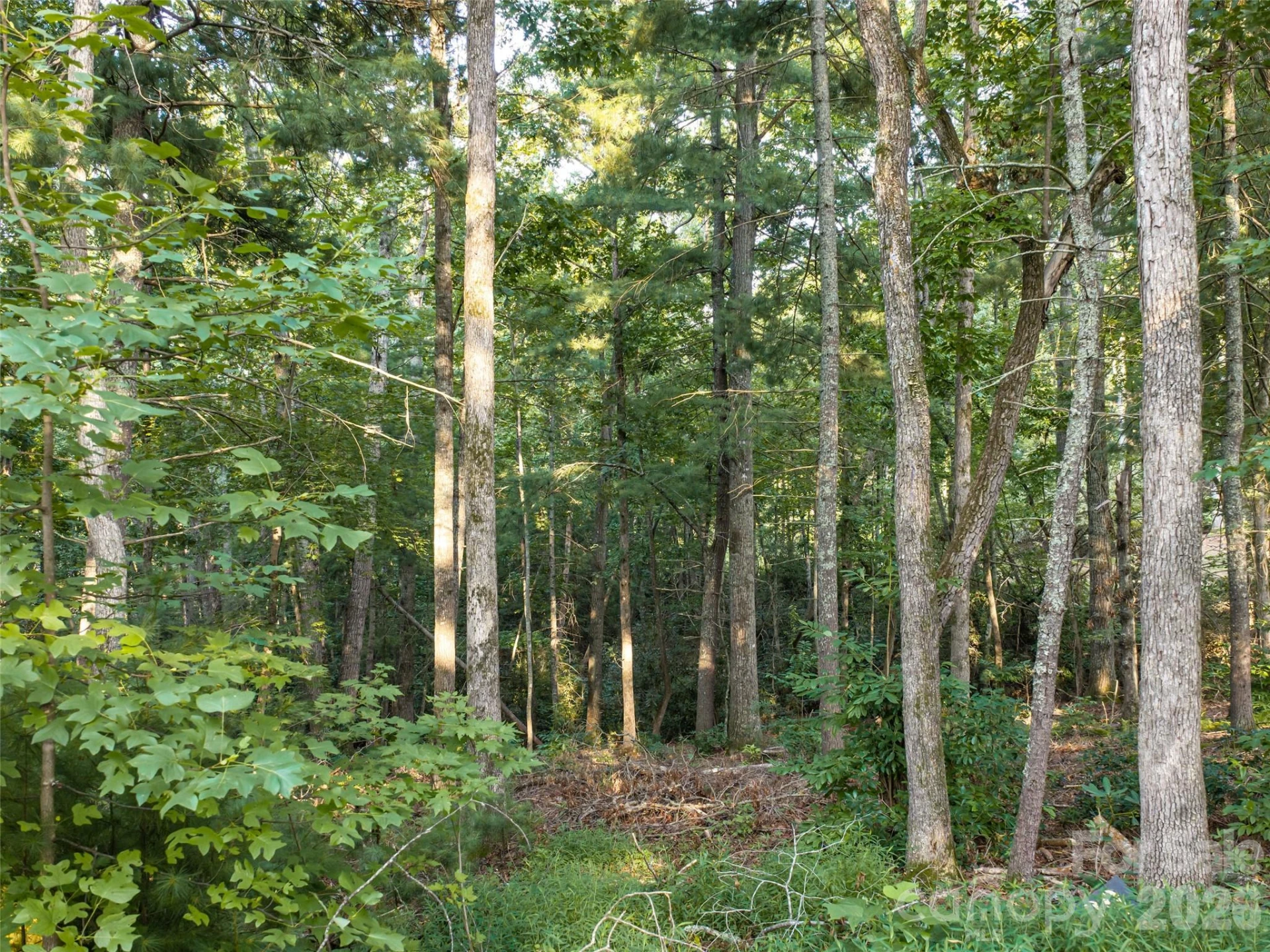 45 Jake Ridge Trail - Photo 10