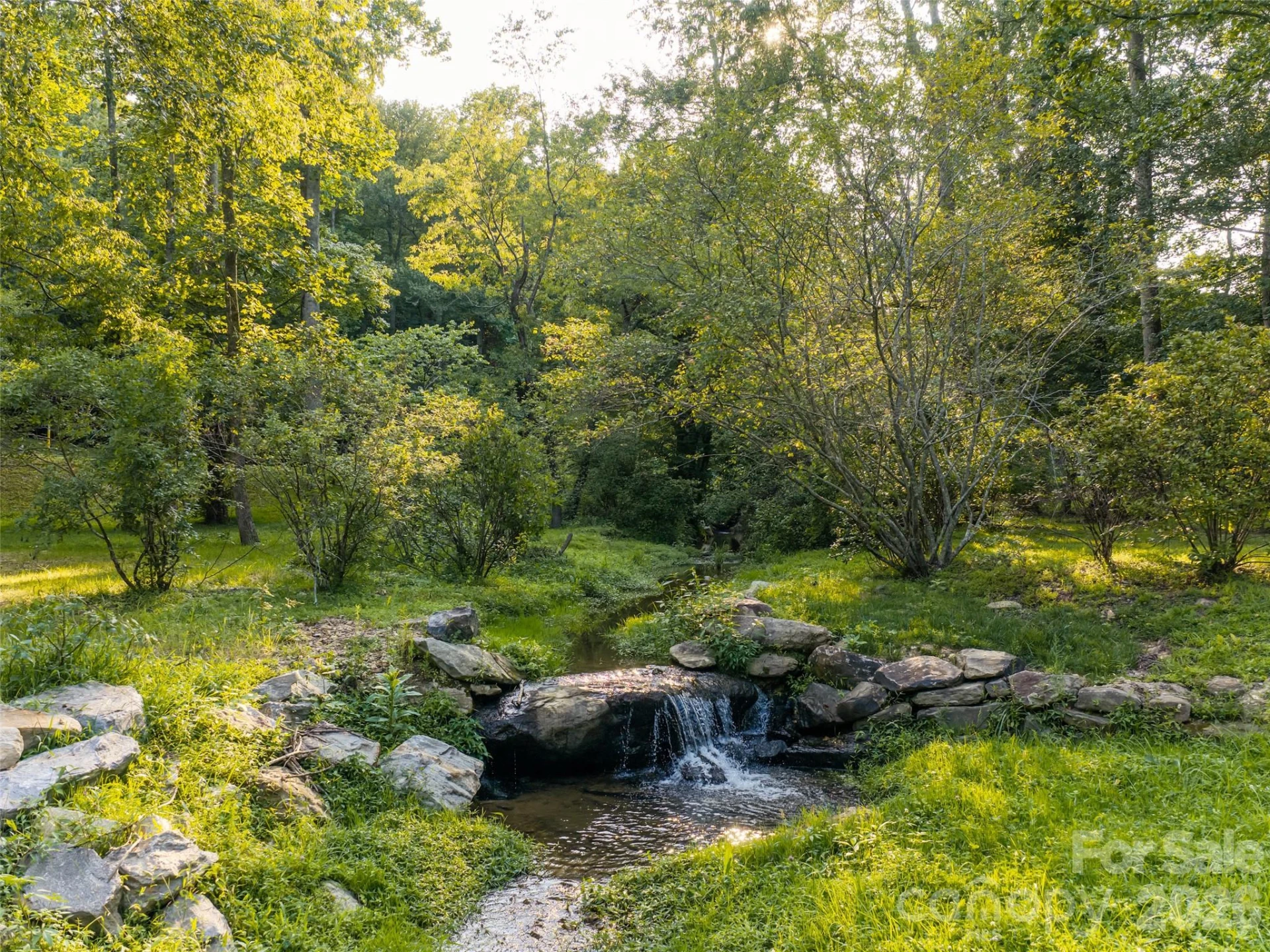 45 Jake Ridge Trail - Photo 17