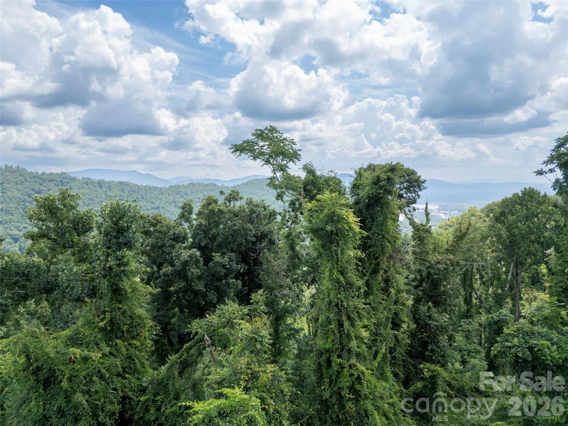 647 Town Mountain Road #211 - Photo 20