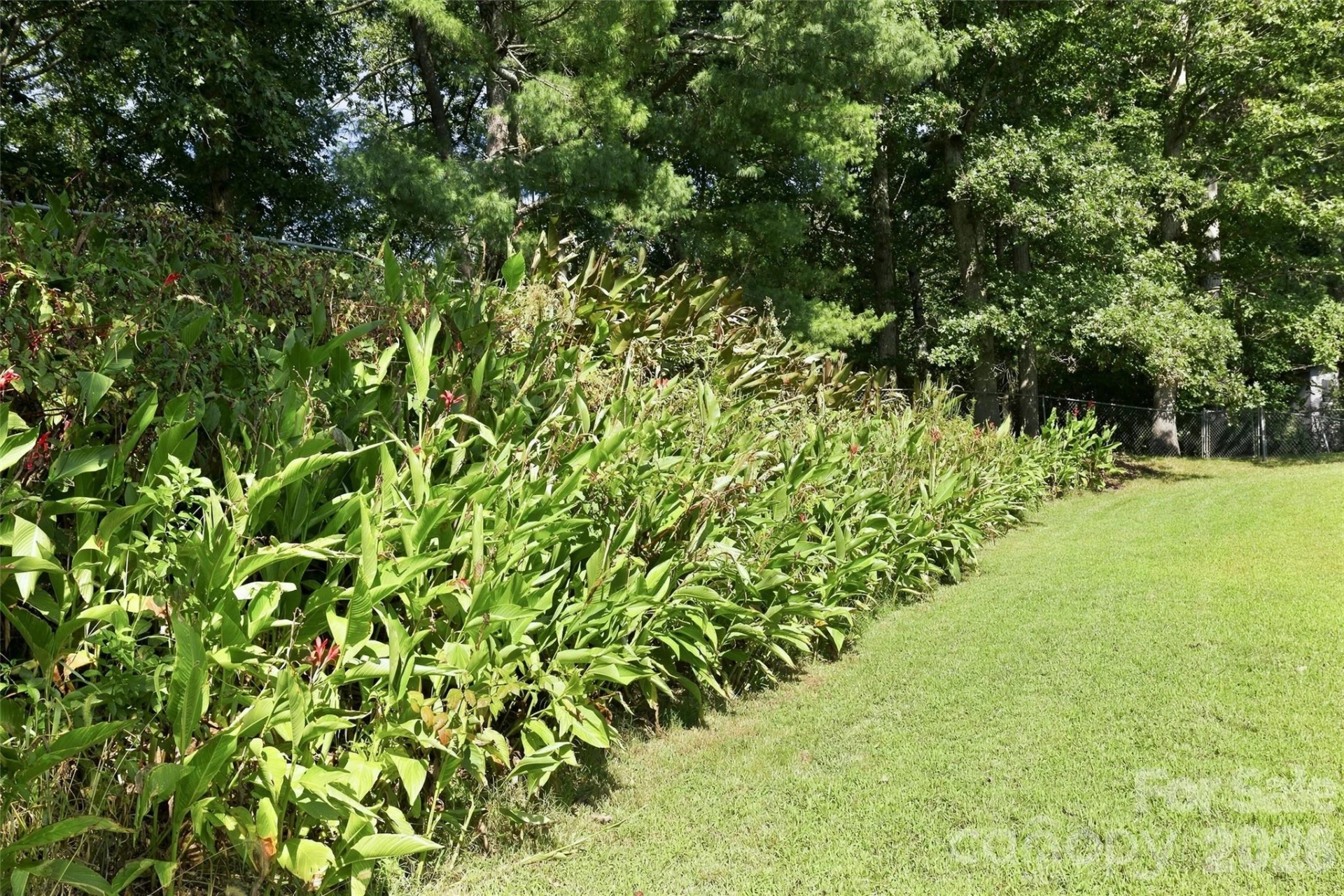 30 Morning Glory Lane - Photo 40