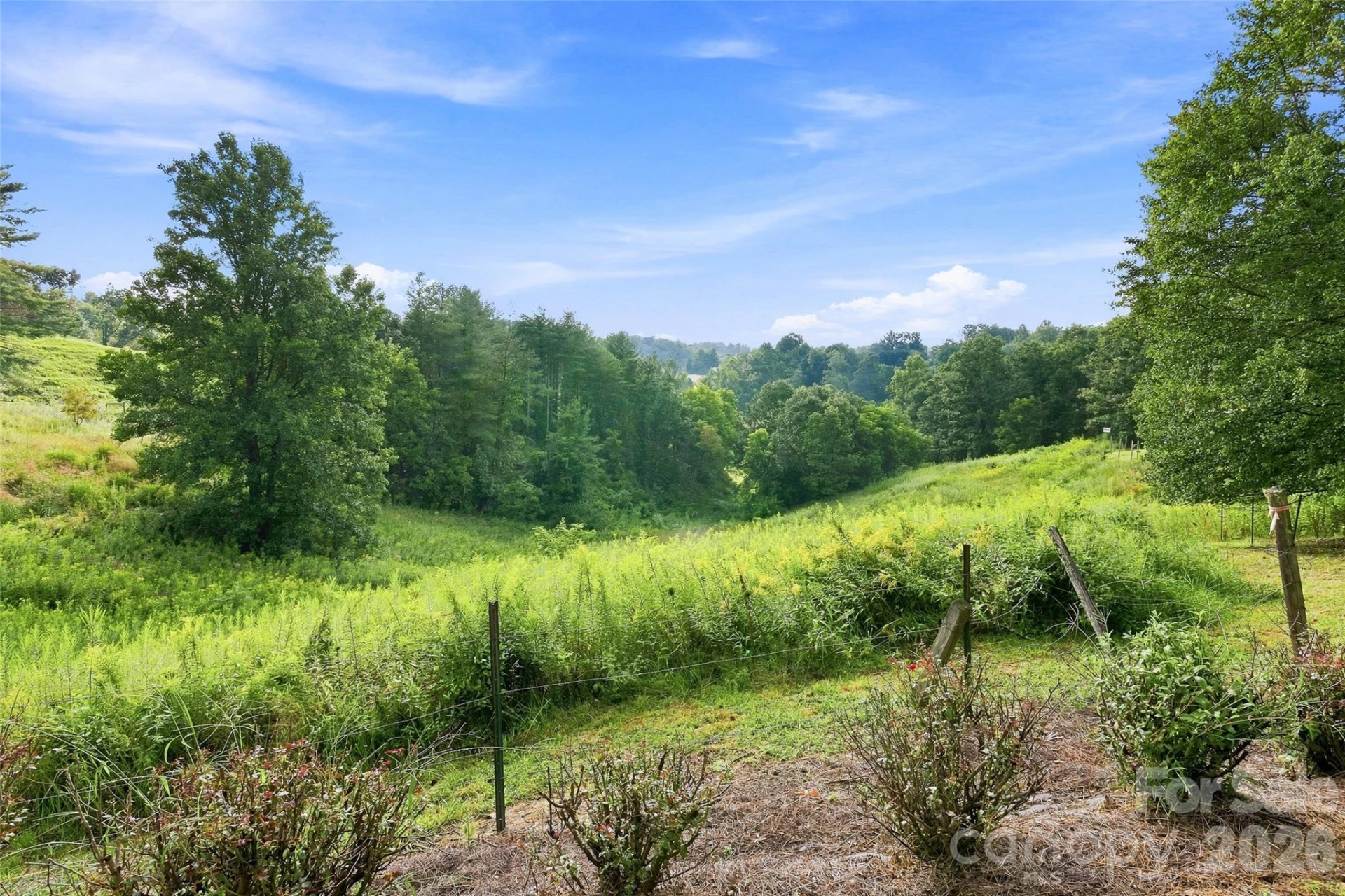 30 Morning Glory Lane - Photo 47