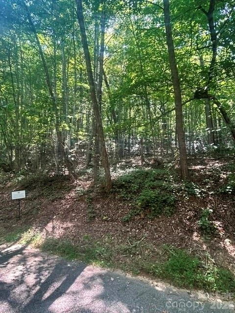 Lot 272 Hummingbird Court - Photo 2