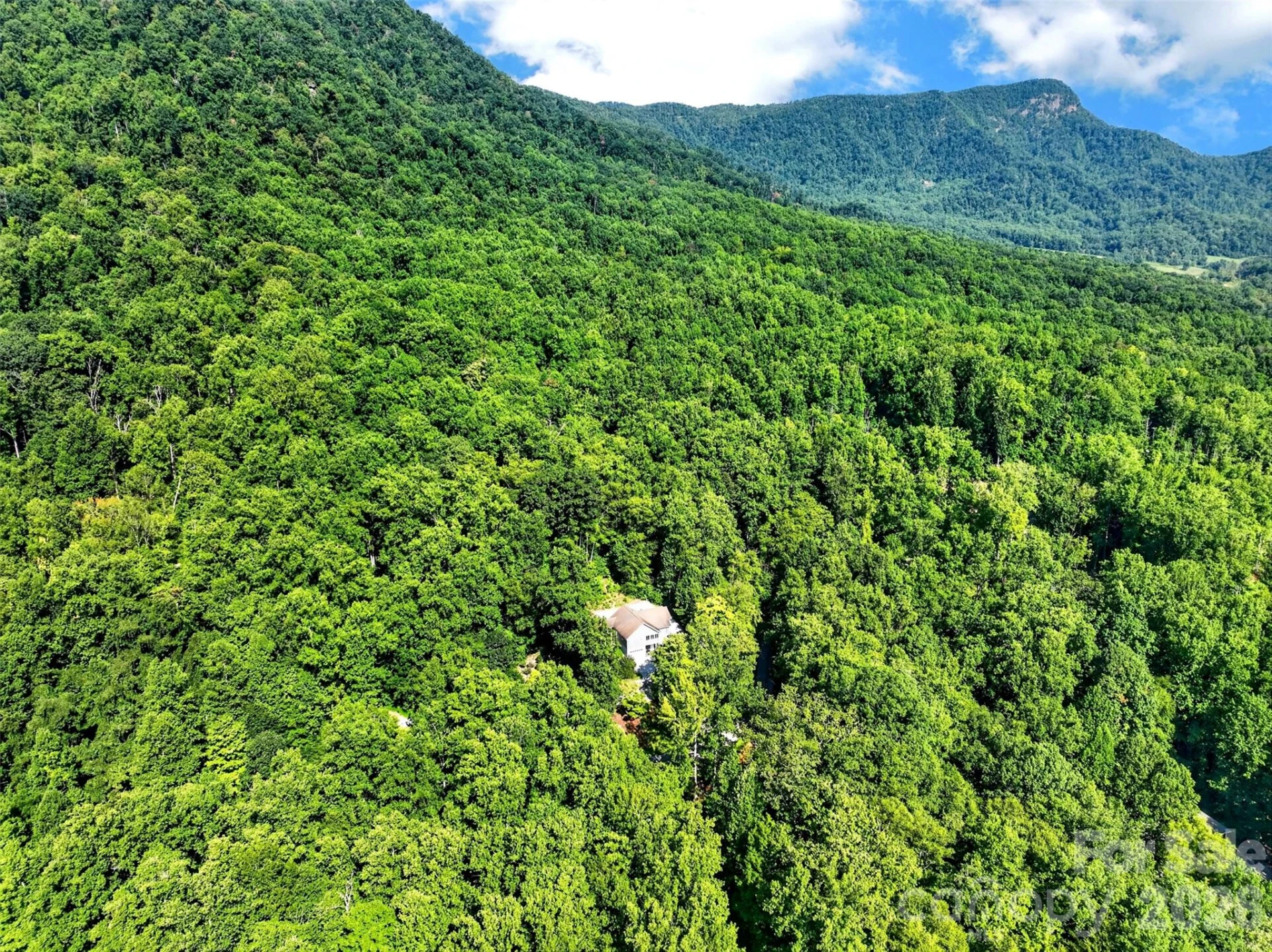 767 Hunnicut Mountain Road - Photo 2