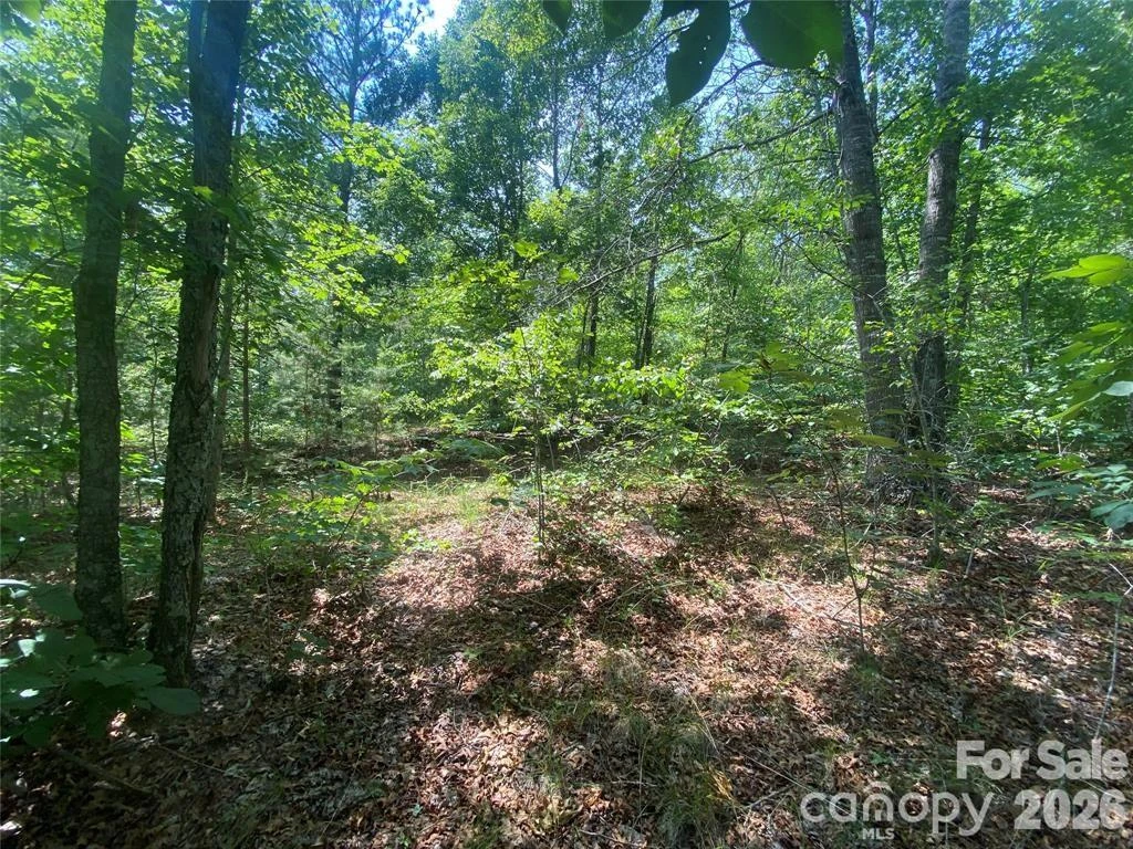 65 Stellar View Drive #6