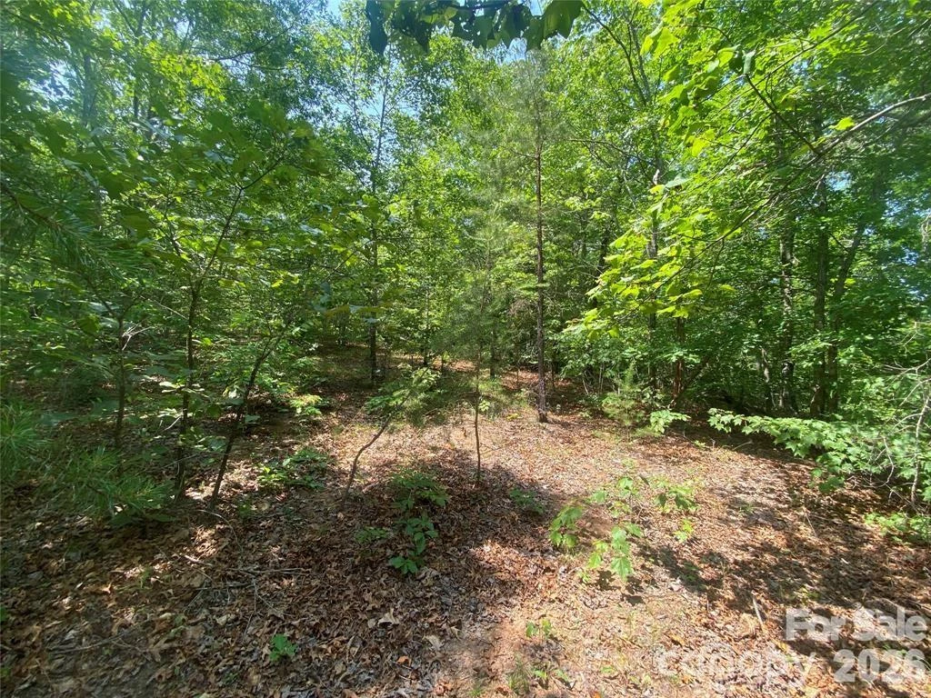 65 Stellar View Drive #6 - Photo 4
