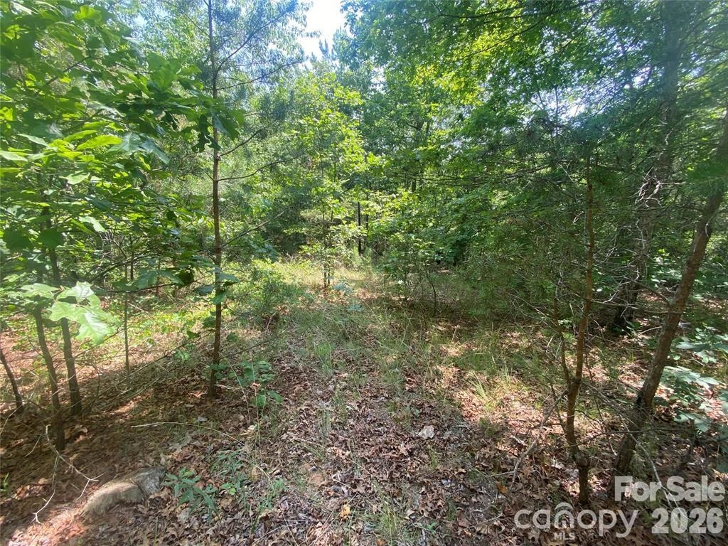 65 Stellar View Drive #6 - Photo 6