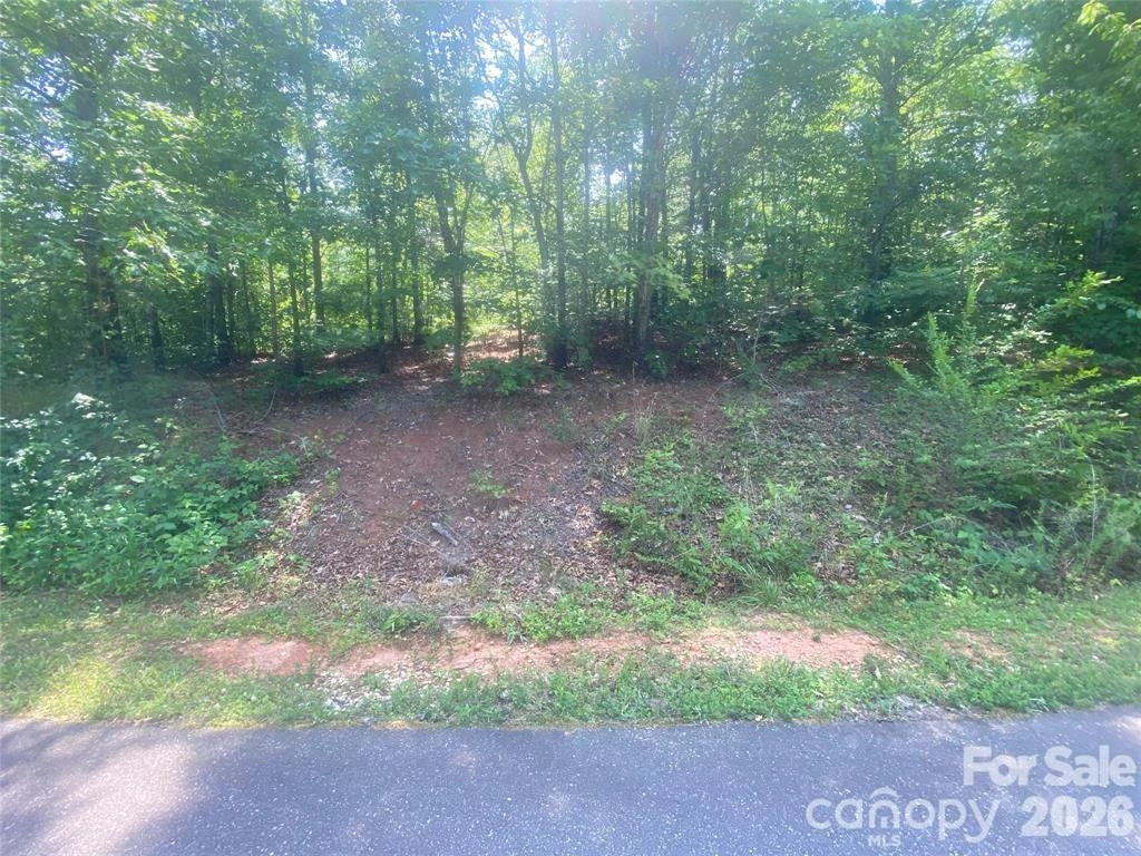65 Stellar View Drive #6 - Photo 7