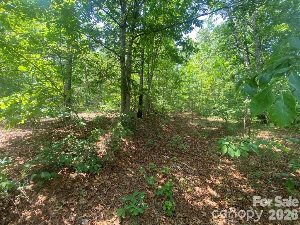 65 Stellar View Drive #6 - Photo 8