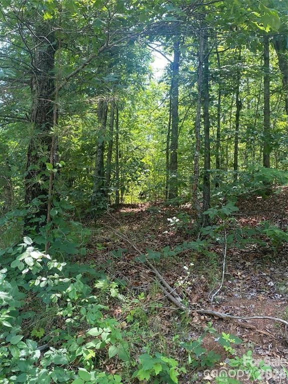65 Stellar View Drive #6 - Photo 9