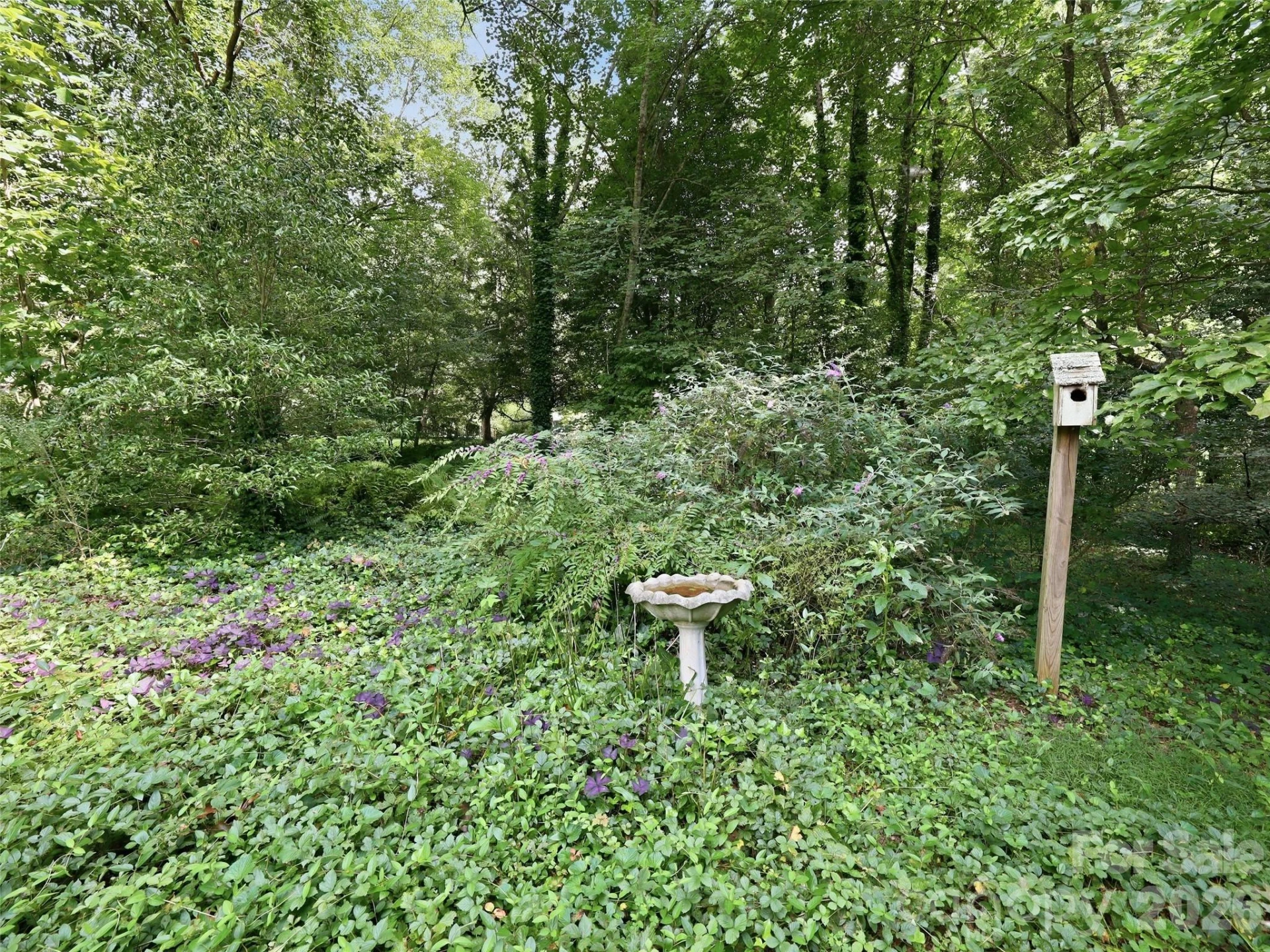 12 Legendary Road - Photo 45