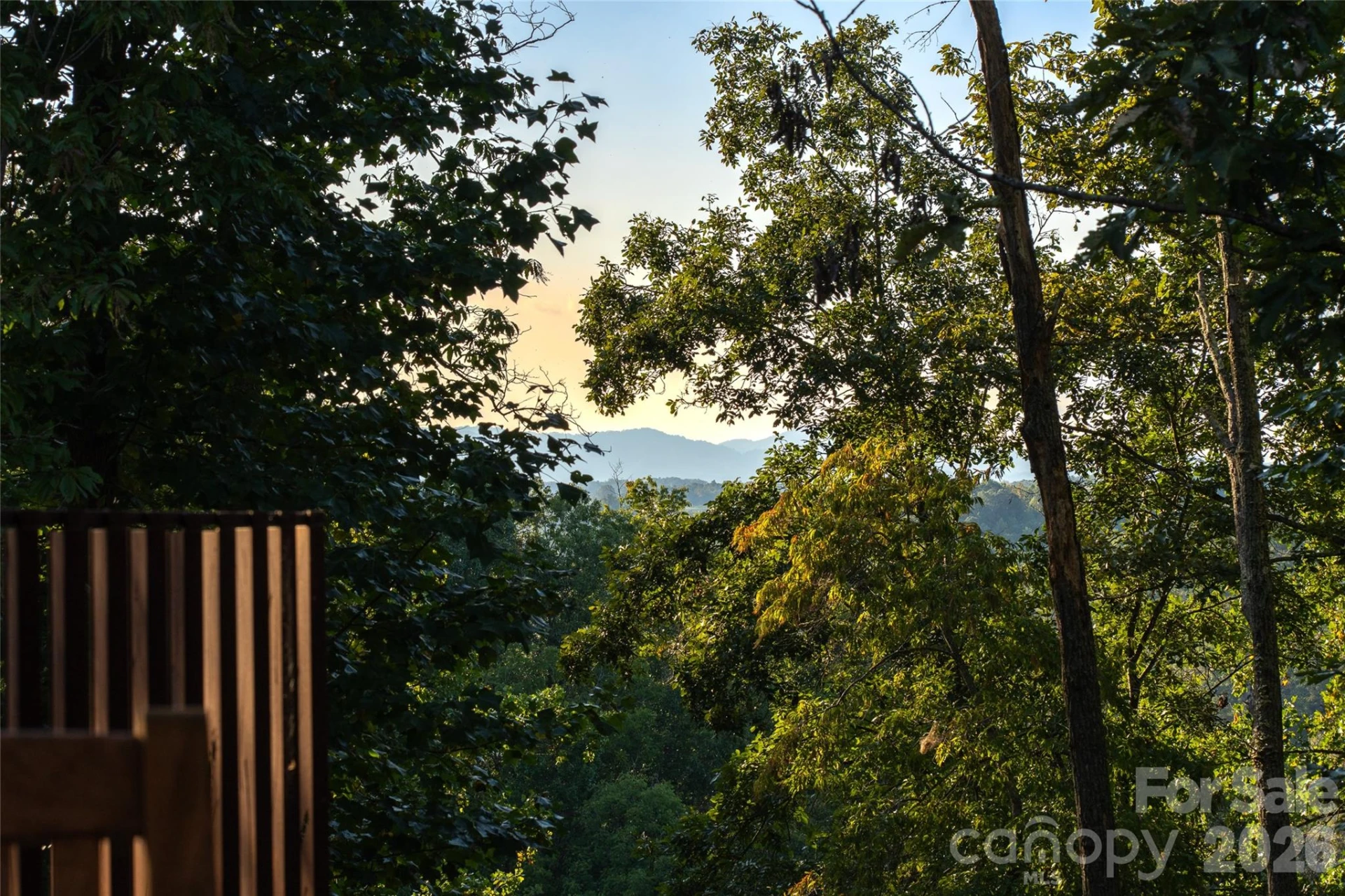 34 Bee Balm Way - Photo 38