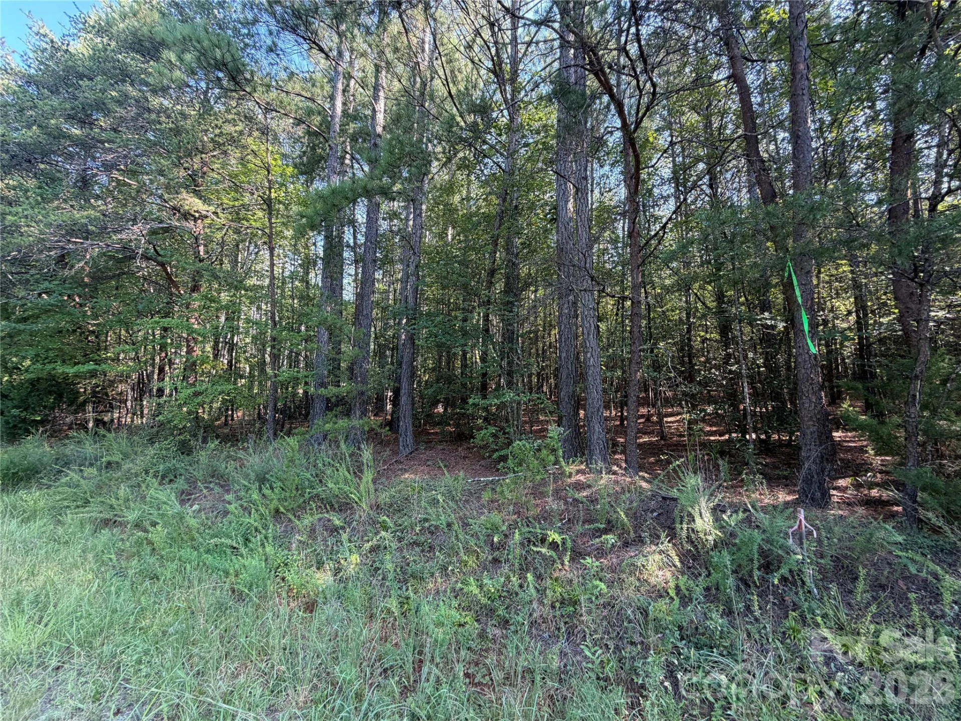 175 Old Morganton Road - Photo 4