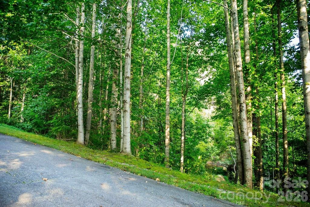000 Ivywood Lane #13 - Photo 6