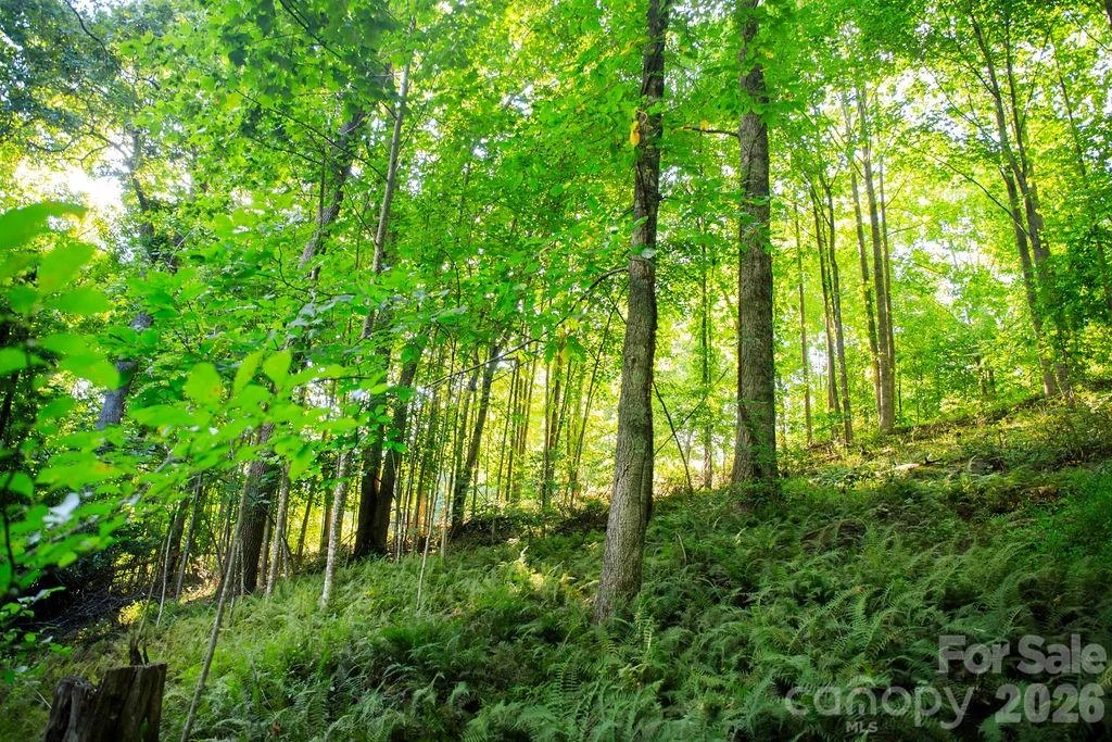 000 Ivywood Lane #13 - Photo 7