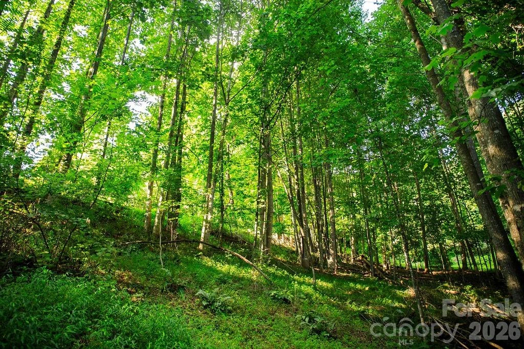 000 Ivywood Lane #13 - Photo 8