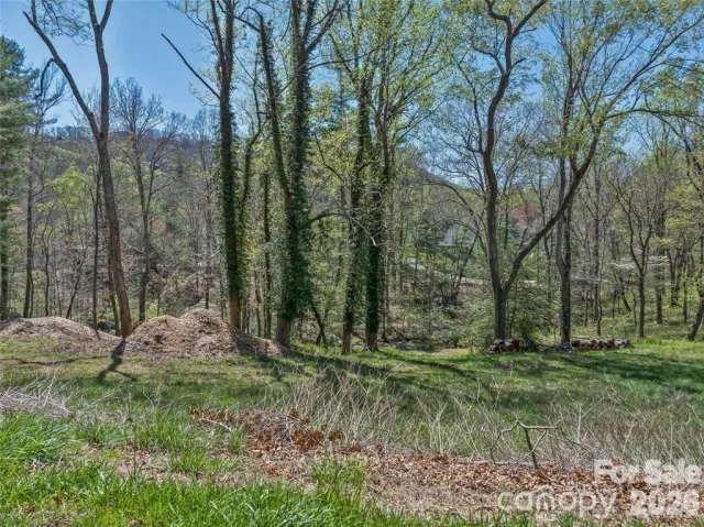 99999 Running Creek Trail, Arden, NC, 28704