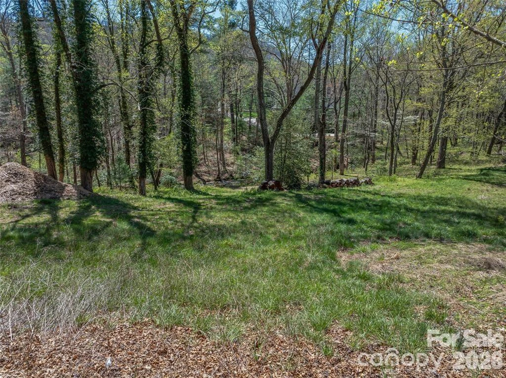 99999 Running Creek Trail #2 - Photo 3
