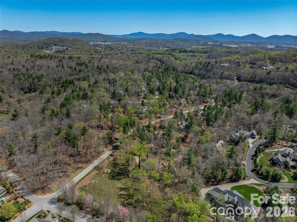 99999 Running Creek Trail #2 - Photo 4