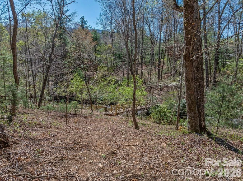 99999 Running Creek Trail #2 - Photo 7