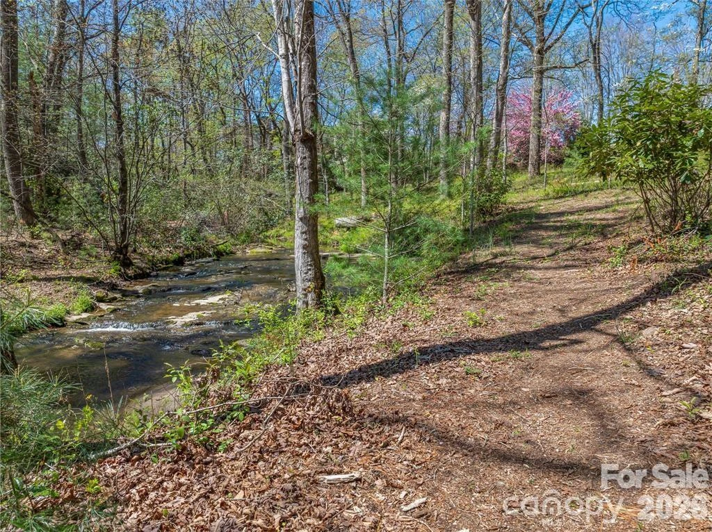 99999 Running Creek Trail #2 - Photo 10