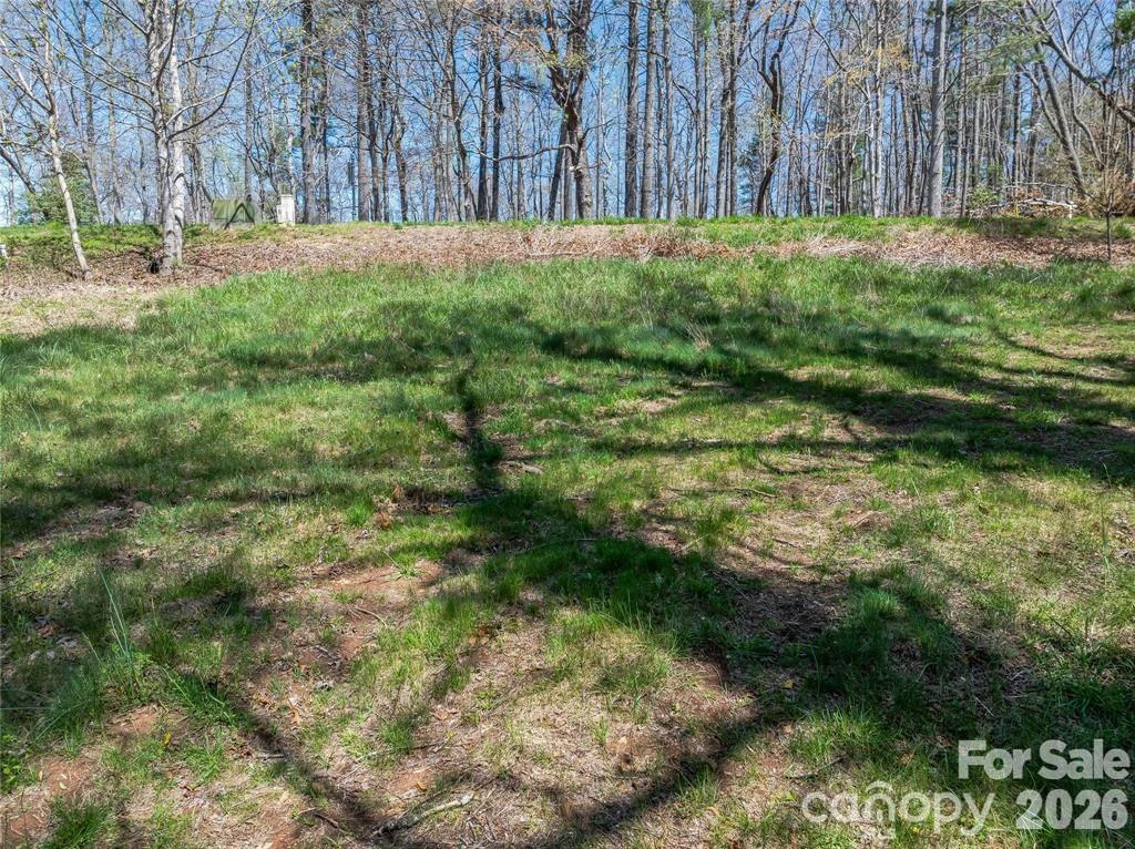 99999 Running Creek Trail #2 - Photo 11